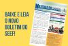 Novo boletim do SEEF destaca conquistas da categoria e temas centrais para a classe trabalhadora